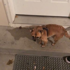 Meet your Posher, Roland